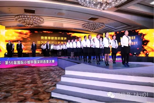 盛世集團(tuán)精英團(tuán)隊(duì)